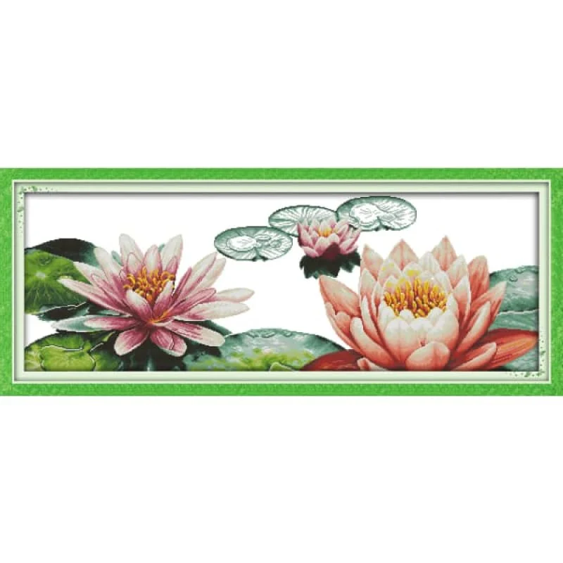 Lotus in Summer