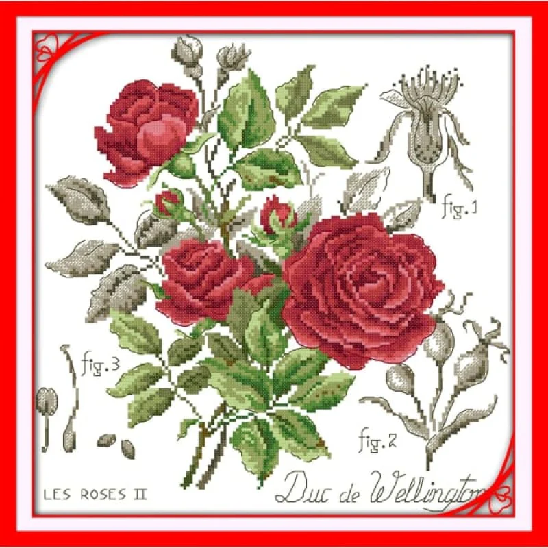Red rose (2)